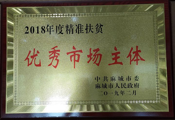 2018精準(zhǔn)扶貧優(yōu)秀市場主體.jpg