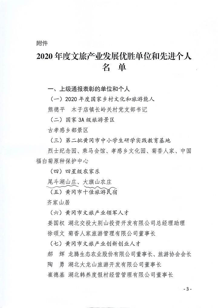 麻城市2020年度文旅優(yōu)勝單位和先進(jìn)個人表彰2.jpg